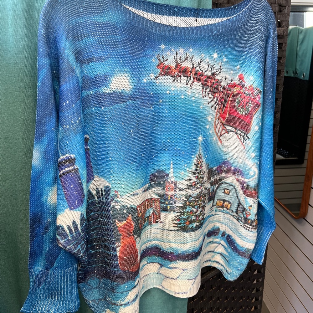 NWT Festive Blue Sweater with Santa Design
